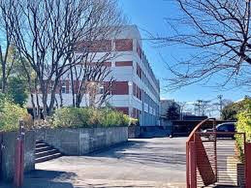 中学校 700m 八王子中学校