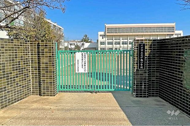 小学校 550m 川口市立芝中央小学校 (【川口市立芝中央小学校】 　徒歩8分)