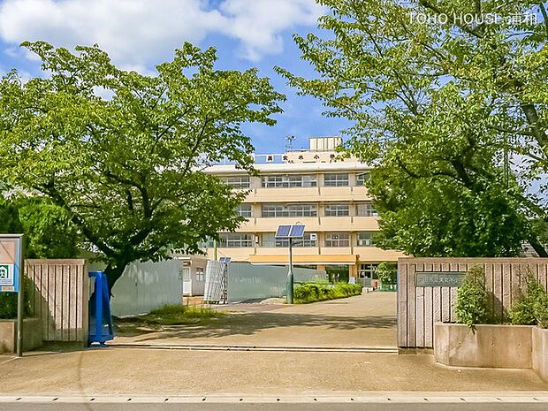 小学校 550m 戸田市立美女木小学校