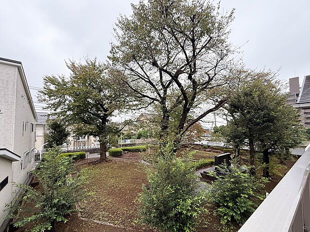 1号棟【眺望】眺望や窓からの景色が良いと、家で過ごす時間も快適です。