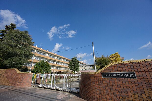 小学校 560m さいたま市立植竹小学校