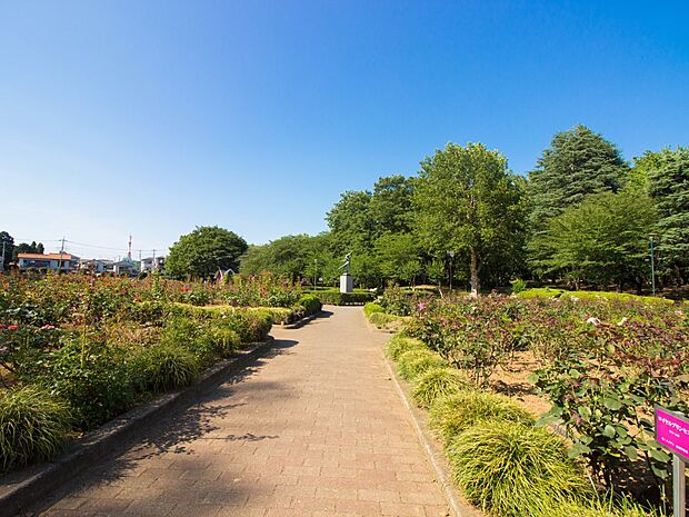 公園 1000m 与野公園(与野公園徒歩14分　1000ｍ)