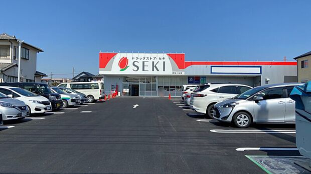 ドラッグストア 500m ドラッグストアセキ