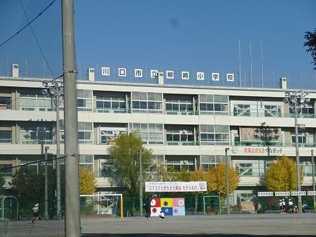 小学校 620m 川口市立柳崎小学校