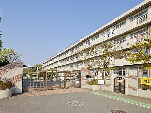 小学校 304m さいたま市立新開小学校