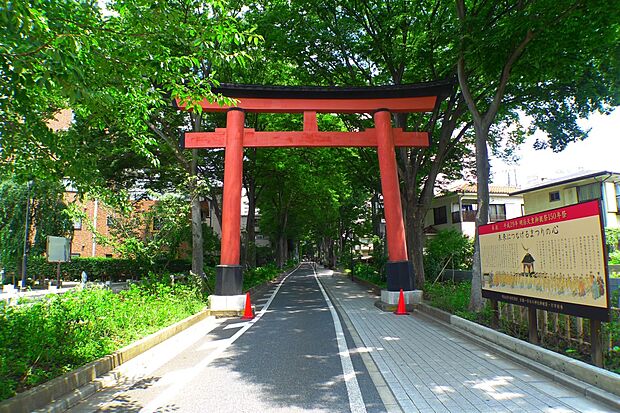 その他環境写真 1200m 氷川神社参道