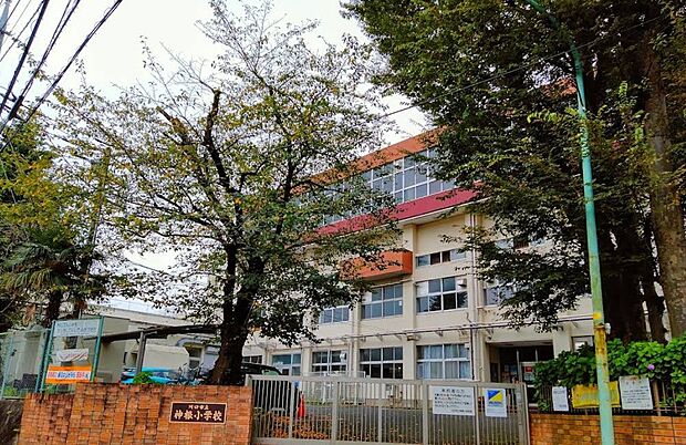 小学校 1400m 川口市立神根小学校