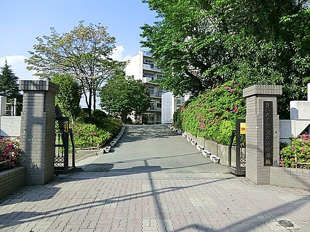 中学校 593m さいたま市立木崎中学校(さいたま市立木崎中学校　徒歩8分)