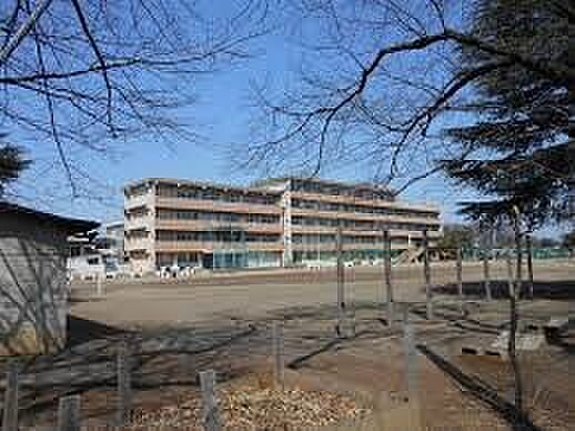 中学校 1170m 上尾市立上平中学校