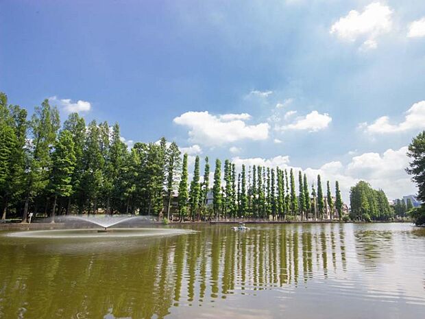 公園 350m 別所沼公園(地域の方の憩いの場として有名です。緑豊かな広い園内には、広場、遊具、噴水、ジョギングコース等があります。とくにジョギングコースが有名で、しっかりと整備されており、…