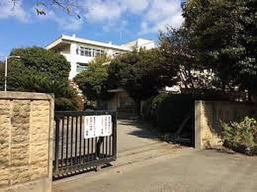 中学校 933m さいたま市立岩槻中学校