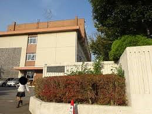 小学校 692m 川口市立新郷南小学校