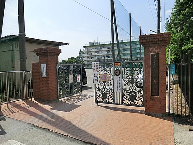 中学校 1600m さいたま市立白幡中学校