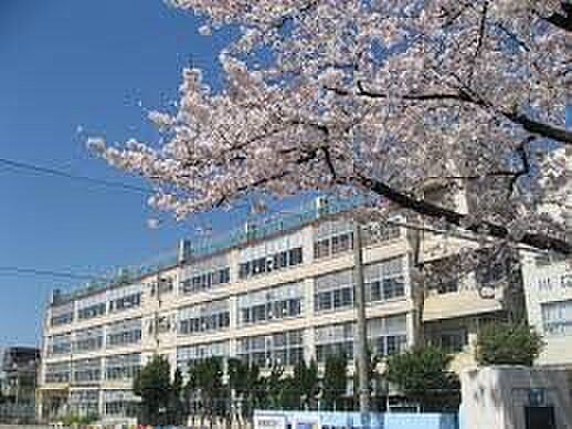 小学校 888m 川口市立上青木小学校