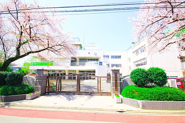 小学校 230m 本太小学校(本太小学校 徒歩3分)