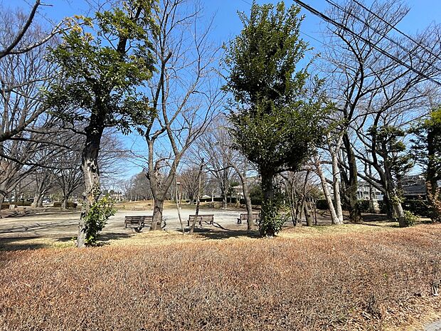 公園 1800m 与野公園(与野公園  鮮やかな色が美しいバラ園がたいへん人気があります。観光客も各地から多く訪れます。遊具広場もあり、家族や親子、お友だち同士のリラックススペースになってい…