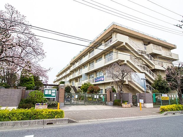 小学校 550m さいたま市立田島小学校