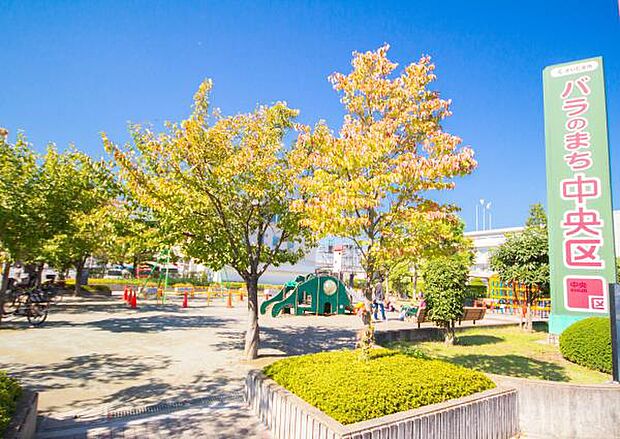 役所 450m 中央区役所