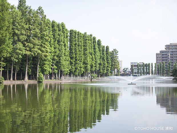 公園 450m 別所沼公園(別所沼公園(地域の方の憩いの場として有名です。緑豊かな広い園内には、広場、遊具、噴水、ジョギングコース等があります。とくにジョギングコースが有名で、しっかりと整備…