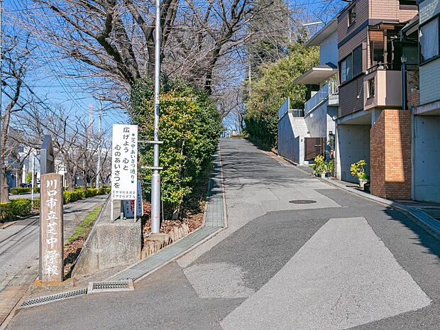 中学校 800m 川口市立芝中学校