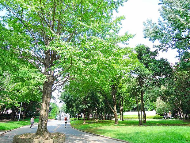 公園 1600m 北浦和公園　1600ｍ（23分）(北浦和公園　1600ｍ（23分）)