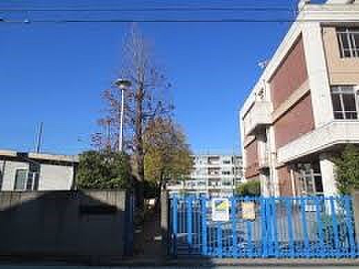 小学校 1094m 川口市立芝南小学校
