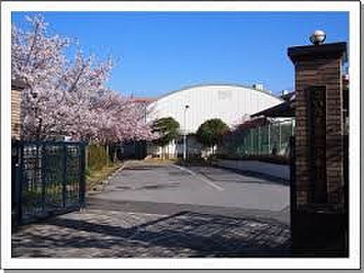 小学校 500m さいたま市立仲本小学校