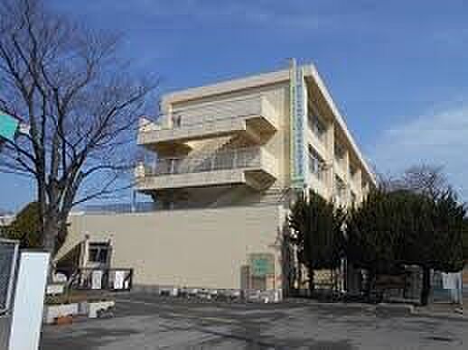 中学校 964m さいたま市立泰平中学校