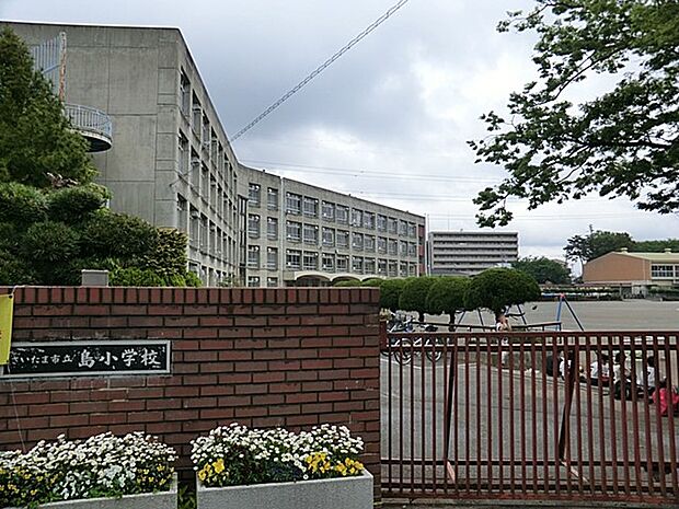 小学校 560m 島小学校
