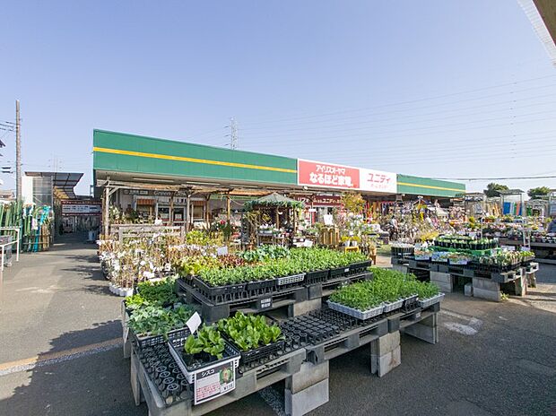 ホームセンター 650m ユニディ川口店