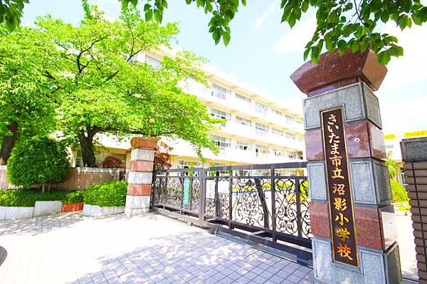 小学校 1100m 沼影小学校(【沼影小学校】1972年に開校したさいたま市立沼影小学校。伝統と地域に根ざした魅力ある学校づくりを目標として、教職員のチカラを結集して教育課程の実施に取り組ん…