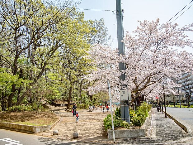 その他環境写真 400m 舟山公園