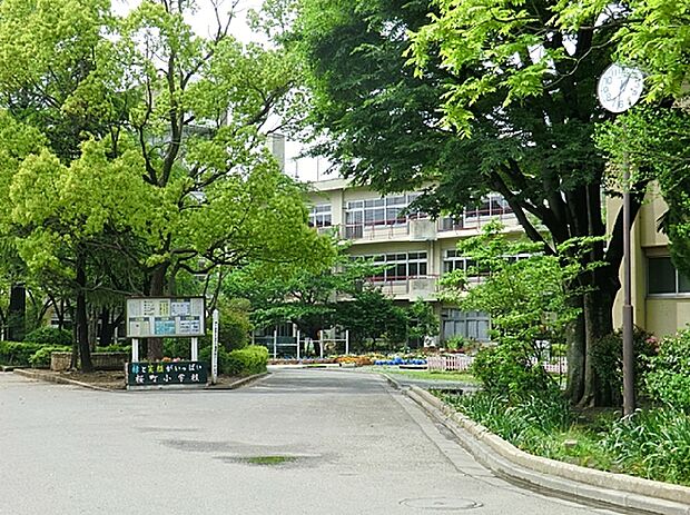 小学校 350m 川口市立桜町小学校