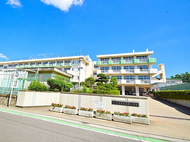 小学校 600m さいたま市立芝原小学校