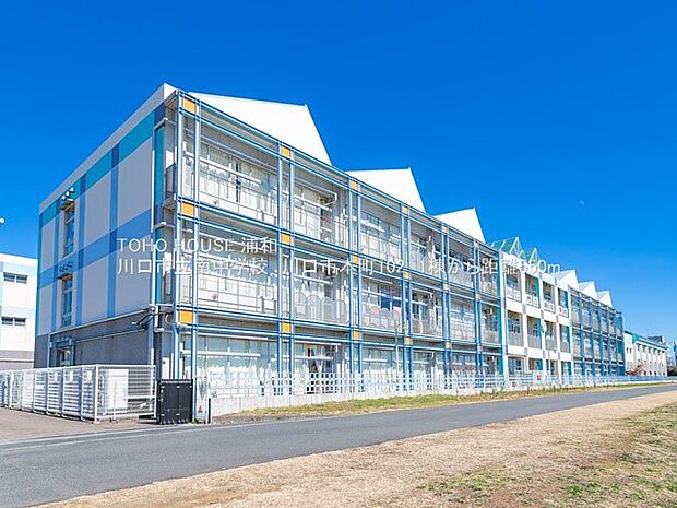 小学校 249m 川口市立南中学校