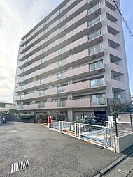 ルピナス蕨