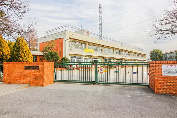 小学校 800m 川口市立里小学校