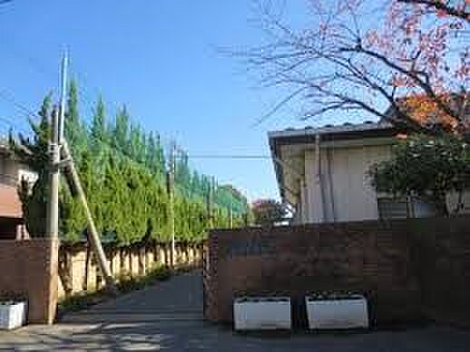 中学校 554m 川口市立岸川中学校