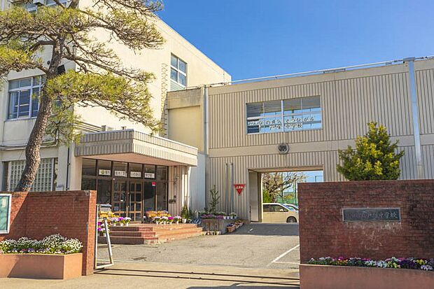 中学校 780m 川口市立戸塚中学校