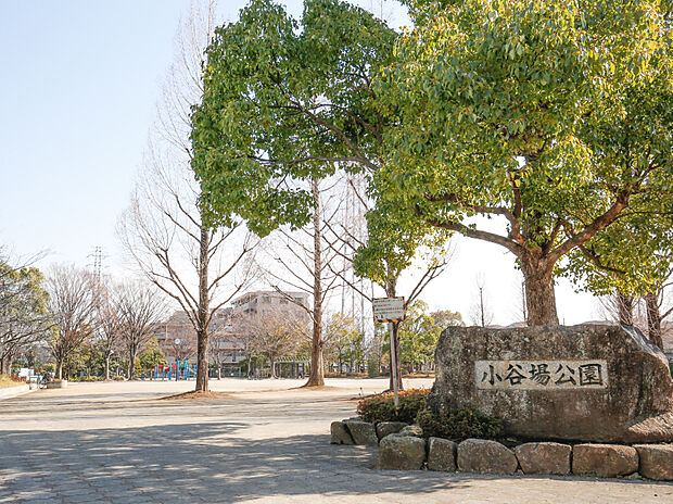 公園 190m 小谷場公園(【小谷場公園】以前学校があったため、大変広い敷地面積を誇ります。目の前に公園が広がり、部屋からも様子が見えます。)