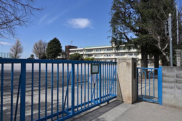 小学校 1200m 鳩ヶ谷小学校