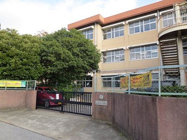 小学校 890m 川口市立新郷南小学校