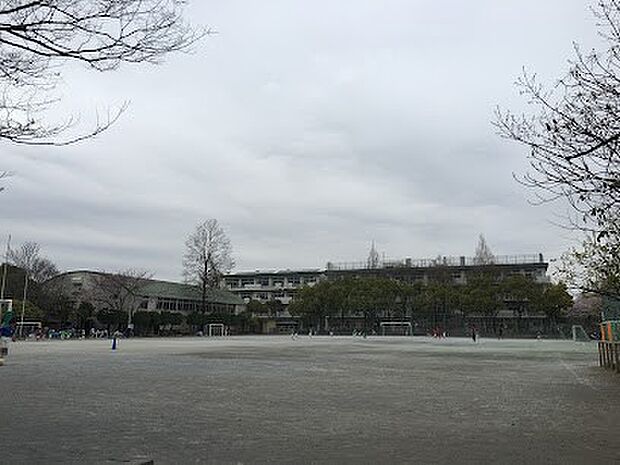 その他環境写真 500m さいたま市立栄和小学校(さいたま市立栄和小学校 徒歩7分)