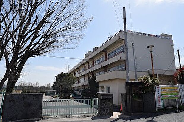 その他環境写真 550m さいたま市立大宮西小学校(さいたま市立大宮西小学校 徒歩8分)