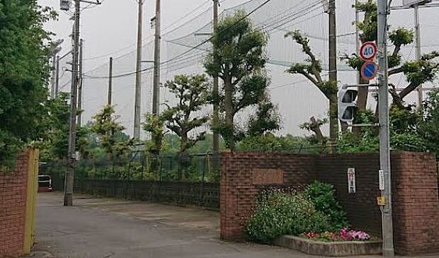 中学校 1300m 川口市立北中学校