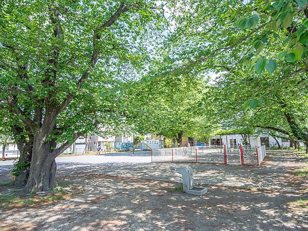 公園 75m 西仲公園