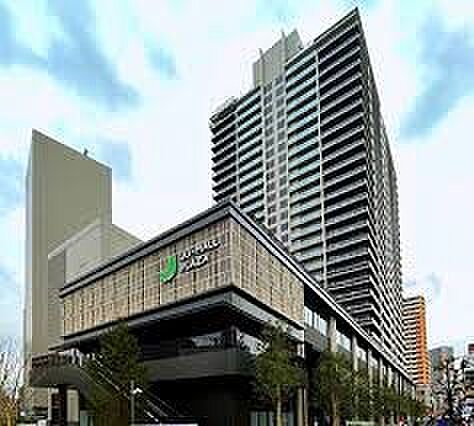 その他環境写真 700m 樹モールプラザ(樹モールプラザ 徒歩10分)