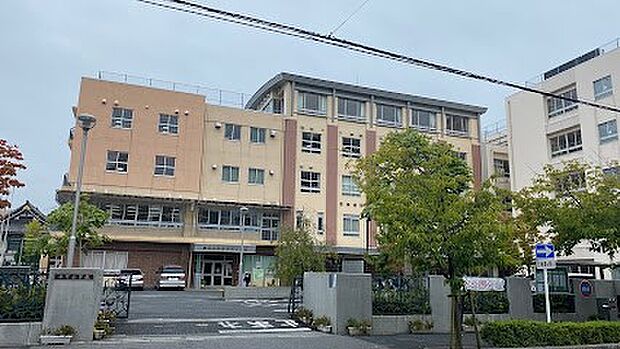 その他環境写真 650m 川口市立本町小学校(川口市立本町小学校 徒歩9分)