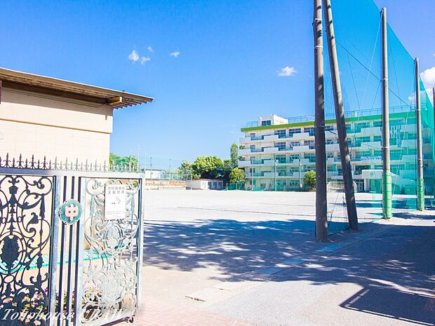 中学校 1300m 白幡中学校(JR武蔵浦和駅北側の広々とした高台に位置します。個性を活かした学習を推進するためにコンピューター教室の拡充、少人数指導などを採り入れています。敷地内には校庭内…