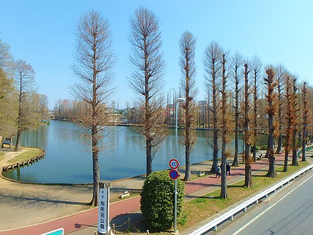 公園 350m 別所沼公園(地域の方の憩いの場として有名です。緑豊かな広い園内には、広場、遊具、噴水、ジョギングコース等があります。とくにジョギングコースが有名で、しっかりと整備されており、…